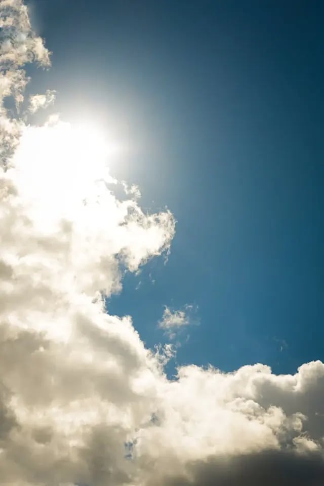 Horizons Optical - mimesys ESSENCE