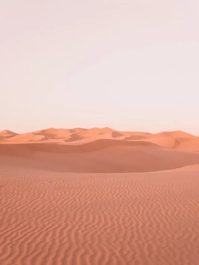 Horizons Optical - Use specific